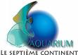 aqua